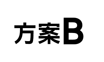 方案B