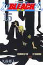 BLEACH (15)
