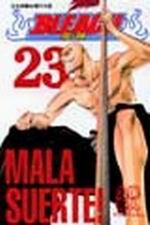 BLEACH (23)