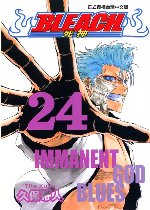 BLEACH (24)