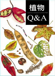 ӪQ&A(nֺ)