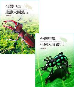 kk0224611.jpg