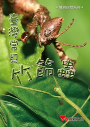 ˸`