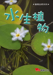 ʹӪ