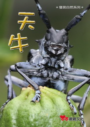 Ѥ