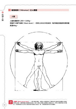 eվ\ , IiJ