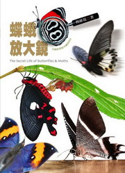 kk0266673.jpg