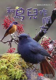 M@B