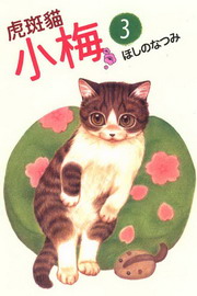 괳ߤp(3)