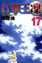ij(17)