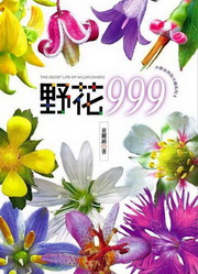 kk0288242.jpg