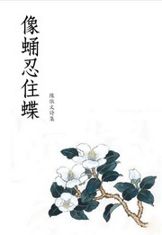 kk0302230.jpg