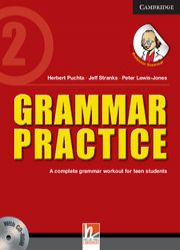 Grammar Practice Level 2 Paperback with CD-ROM(2012~1)