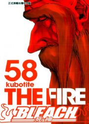 BLEACH (58)