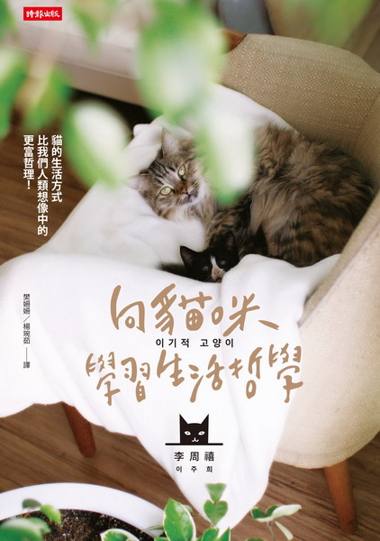 kk0397754.jpg