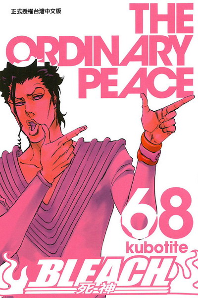 BLEACH (68)