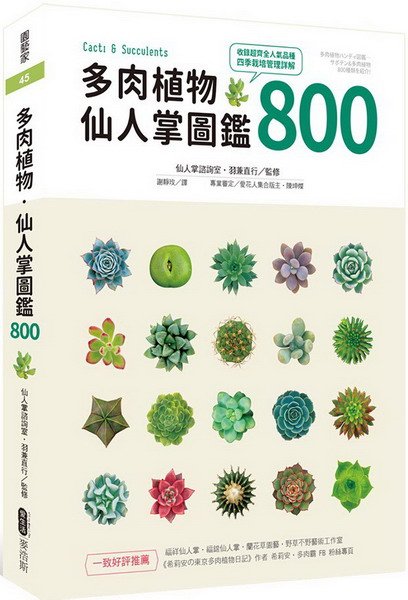 h״ӪEPHxŲ800