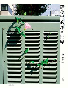 kk0424736.jpg