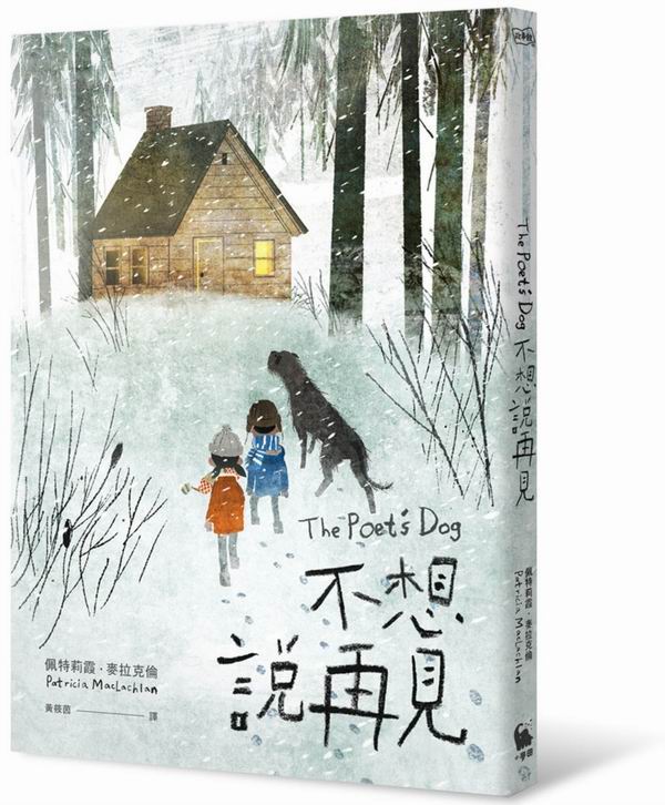 不想說再見（書衣海報珍藏版）