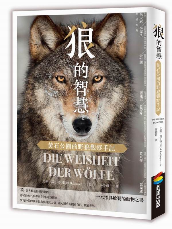 狼的智慧：黃石公園的野狼觀察手記