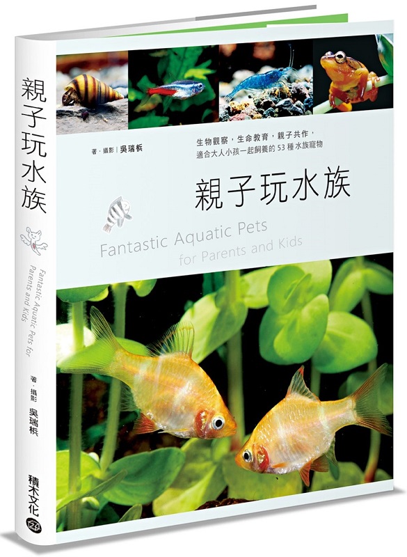 kk0478326.jpg