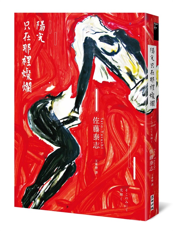 陽光只在那裡燦爛（同名改編電影《陽光只在這裡燦爛》原著）