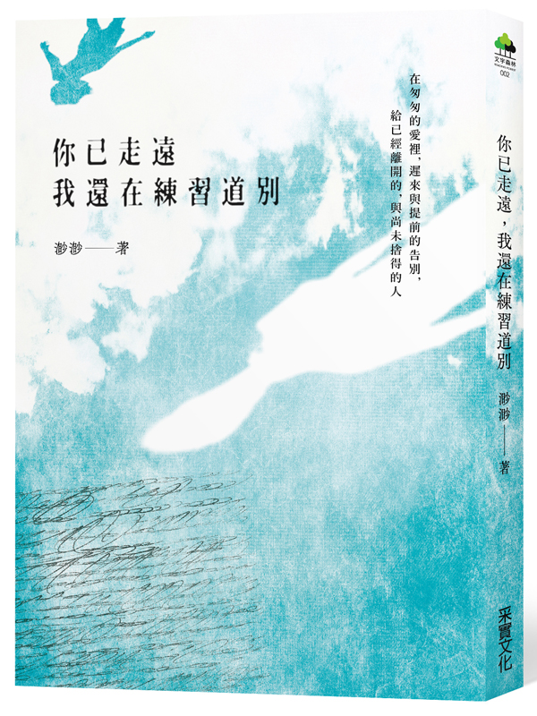 �A�w�����A���٦b�m�߹D�O