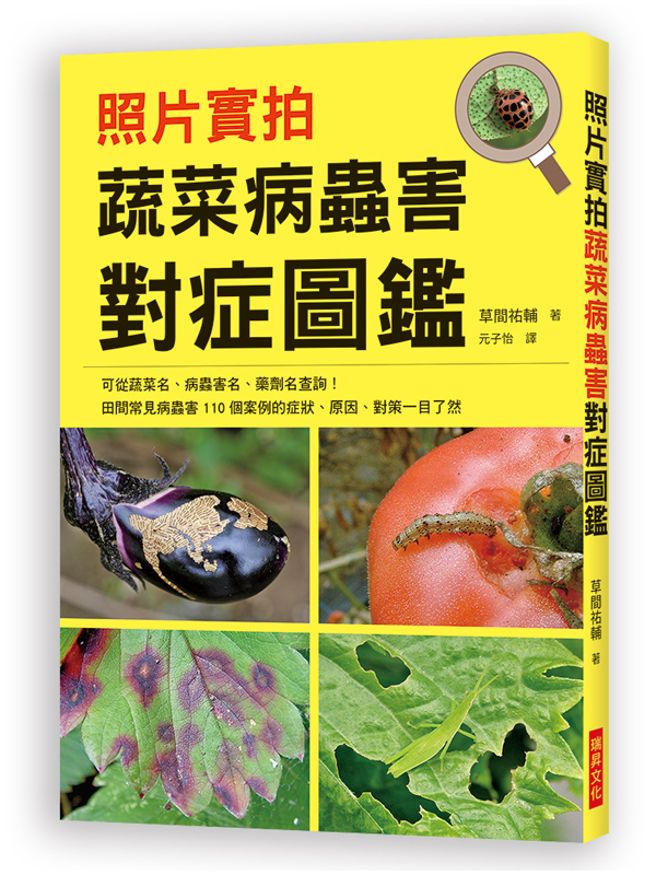 kk0496430.jpg