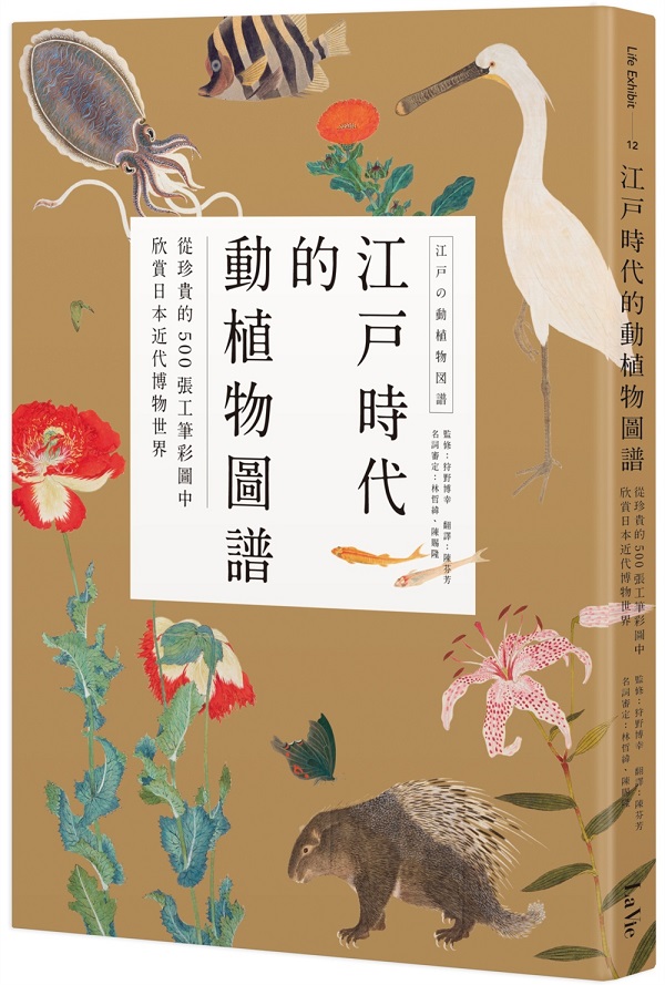 ɥNʴӪСGqöQ500iumϤY饻Nժ@