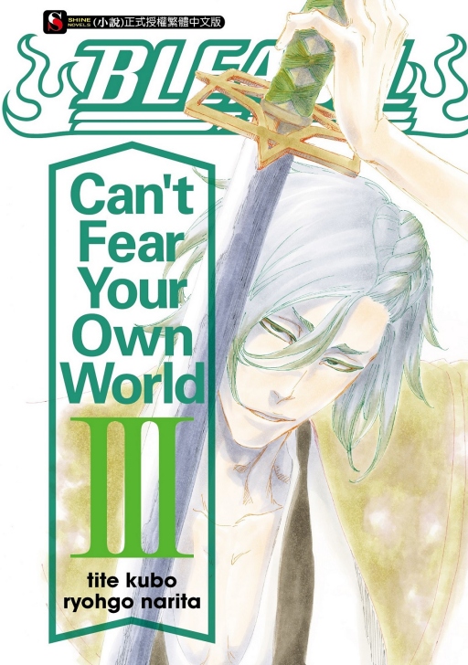 BLEACH Can＇t Fear Your Own World (3)