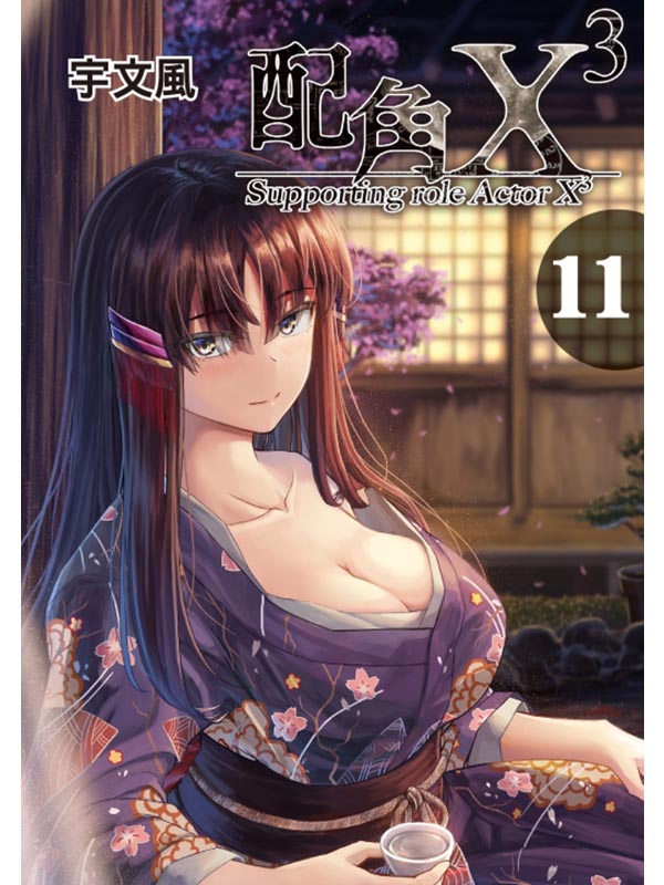 配角X3 11