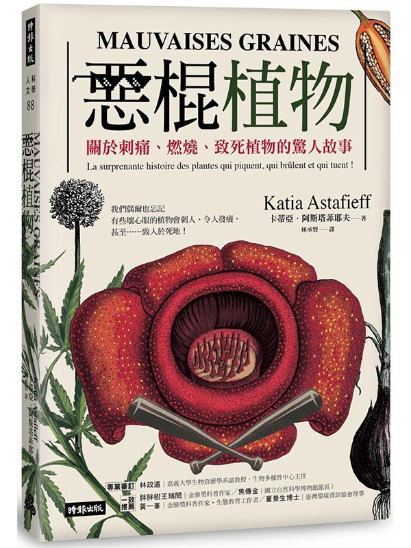kk0568422.jpg