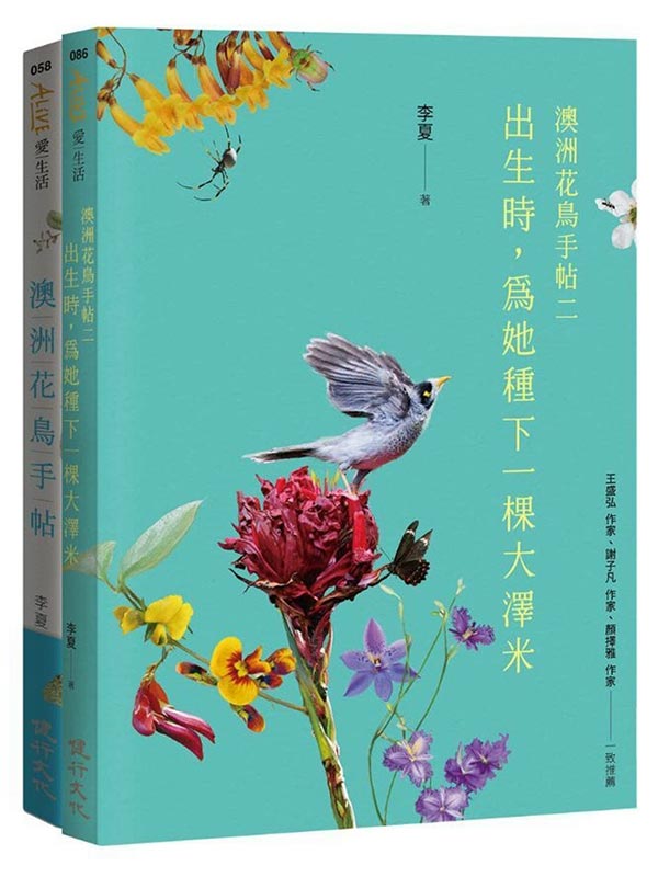 �D�w�᳾�M��(�X�ͮɡA���o�ؤU�@�ʤj�A�̡ϿD�w�᳾�⩫)