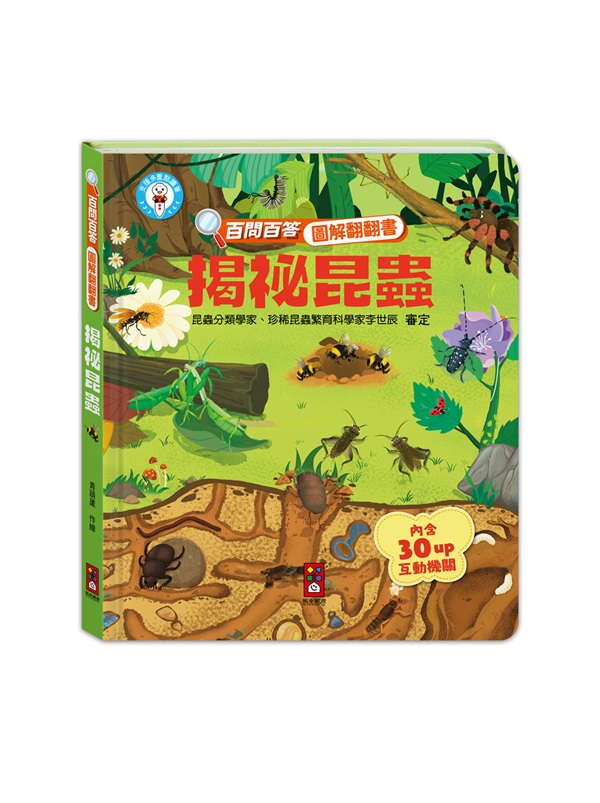 �������ΡG�ʰݦʵ��ϸ�½½��